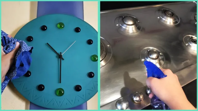 8 RULES THAT SAVE YOU TIME, MONEY AND EFFORT WHEN YOU CLEAN YOUR HOUSE EVERY DAY