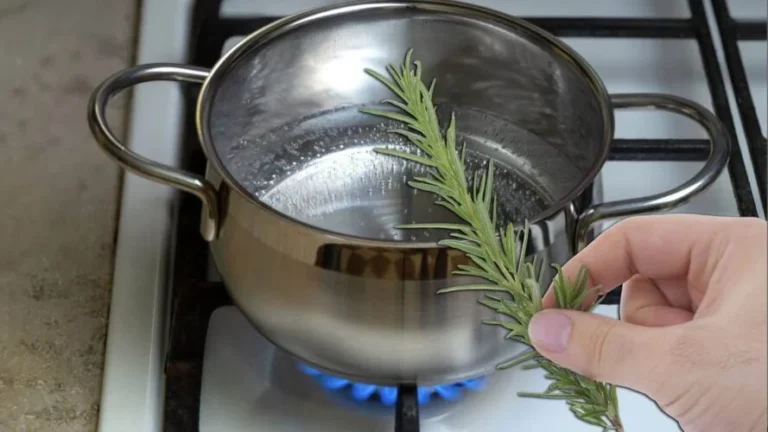 ROSEMARY, EVER TRIED TO BOIL IT? GET PHENOMENAL RESULTS IN 5 MINUTES