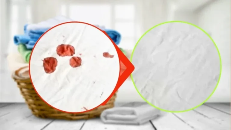 BLOOD ON FABRICS, NOT BLEACH: YOU CAN FIND THE PERFECT SOLUTION IN THE KITCHEN