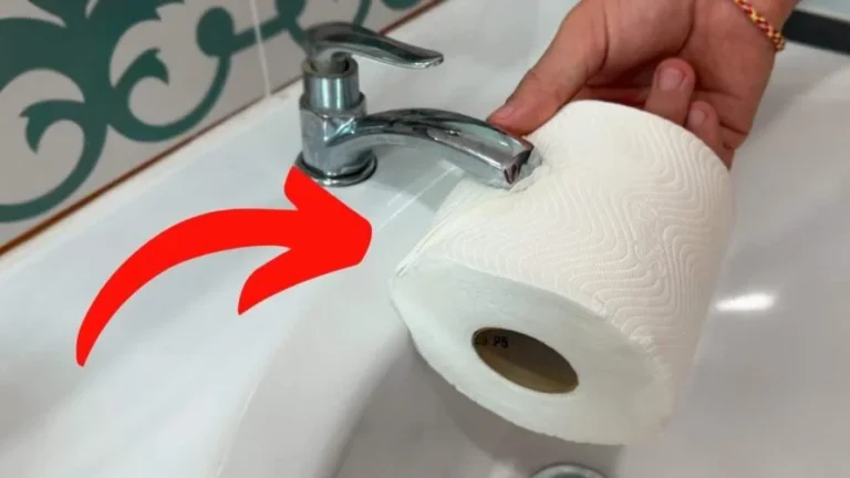 Toilet paper, the largest luxury hotels hide this genius trick from us