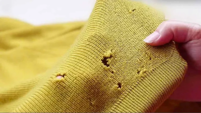 Holes in sweaters, don’t throw them away: with this method they will immediately become new