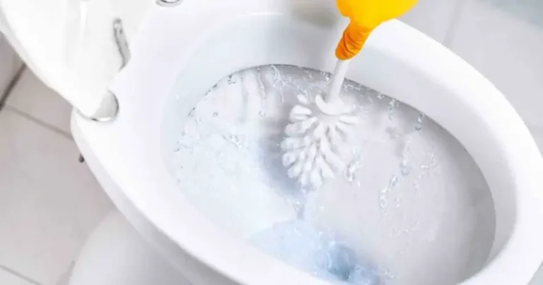 Clean the toilet brush in 2 minutes, without touching it: here’s the trick