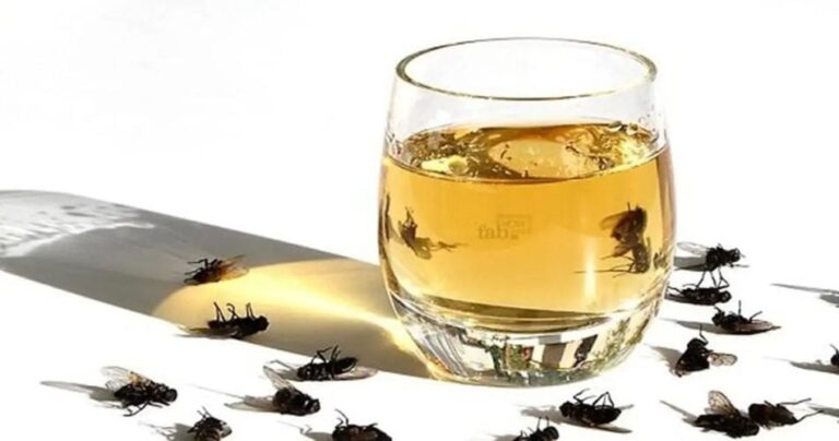 An old trick that keeps flies and cockroaches away from the house – gardening and advice