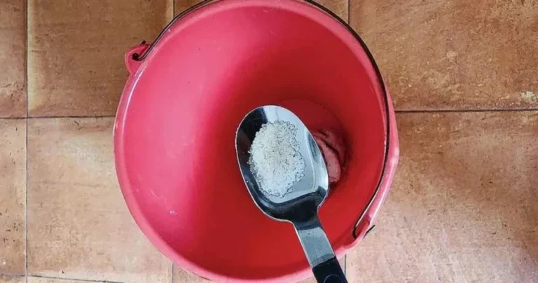 Instantly eliminates bad smells: even the neighbors will notice the scent