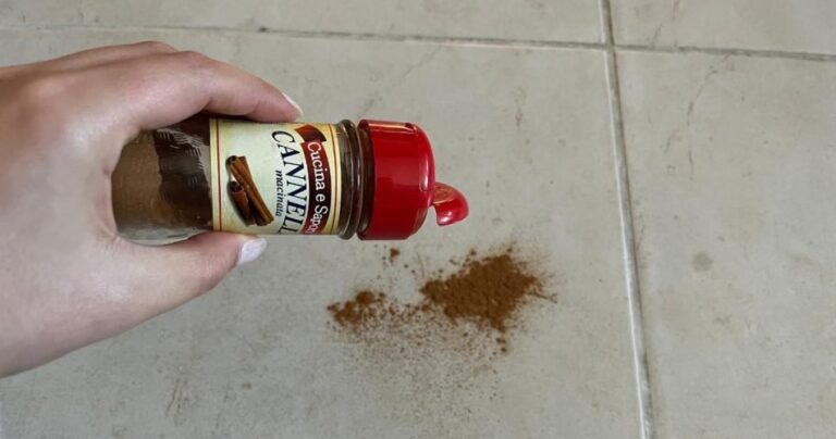 Throw 1 pinch of cinnamon on the floor: the trick that works for decades