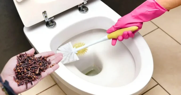 After this trick you will never smell urine in the toilet again
