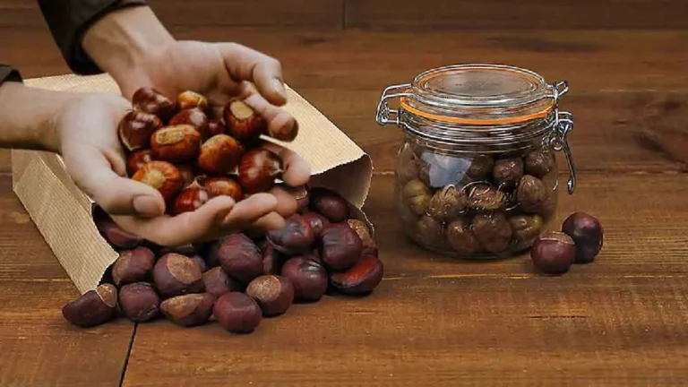 4 excellent tips for preserving chestnuts for up to 12 months! 