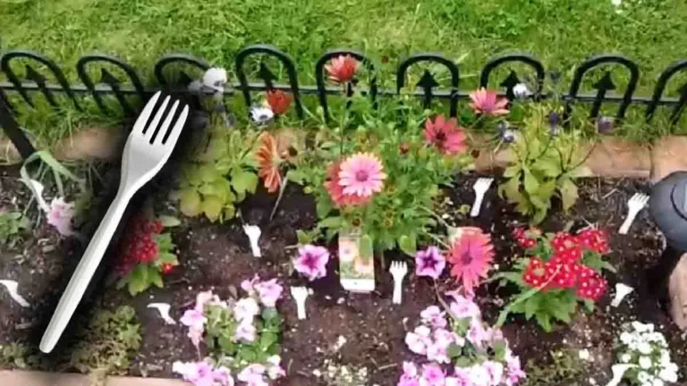 5 smart tips for a beautiful and attractive garden