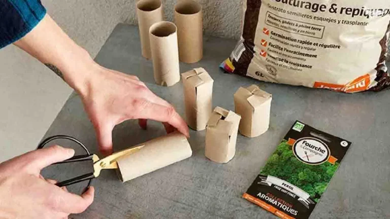 6 clever ways to recycle old toilet paper rolls