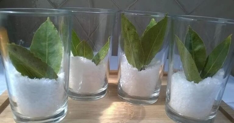 Salt and bay leaves: the perfect and natural mixture against bad odors in the home
