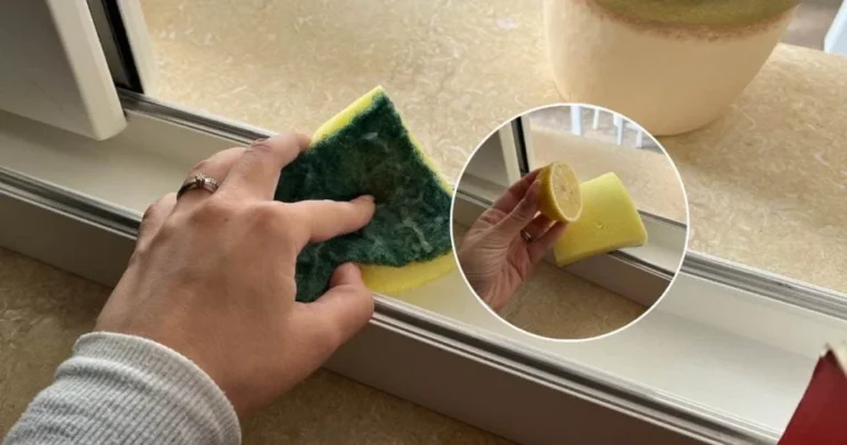 With the sponge technique you can no longer see the dirt between the cracks in the frames.