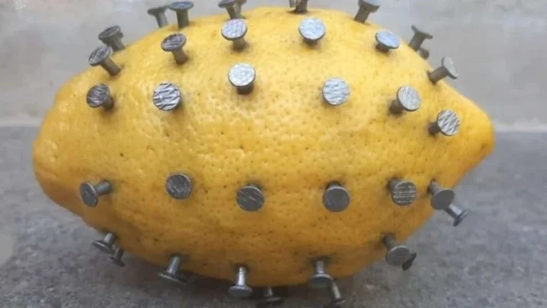 Drive the nails into the lemon, you will discover something very interesting: what happens
