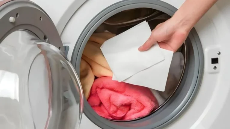 Color capture sheets, don’t waste unnecessary money: prepare them at home at no cost