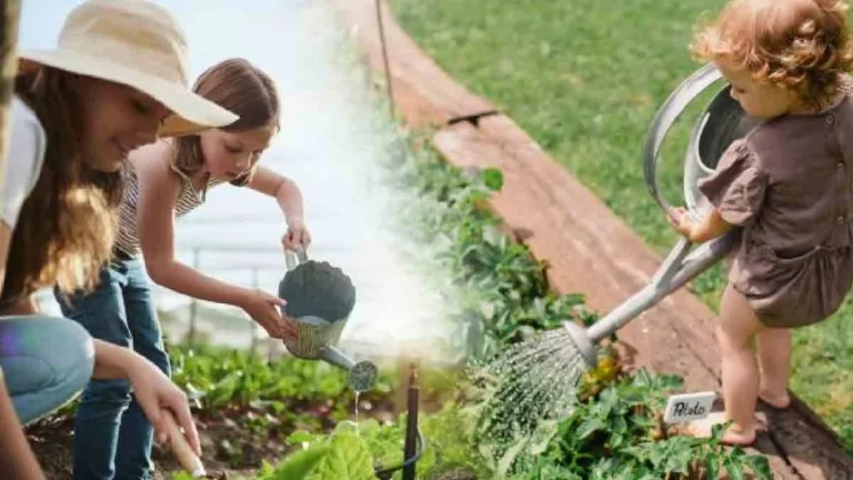 What time should you water your garden vegetables to ensure healthy and rapid growth? 