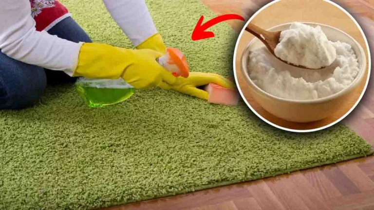 Adopt this wonderful tip to deep clean your carpets and eliminate all the dust!