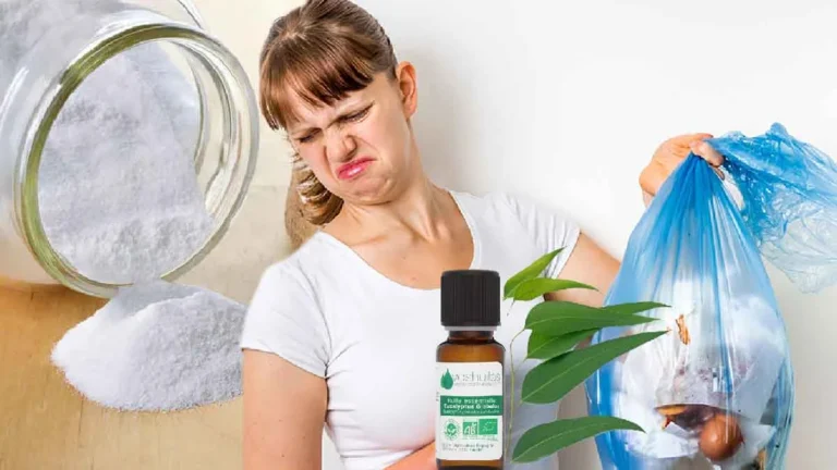 With these tips you can avoid the problem of smelly bins. 