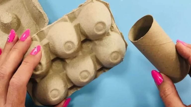 A carton of eggs and a roll of toilet paper: you can’t imagine what comes out of it