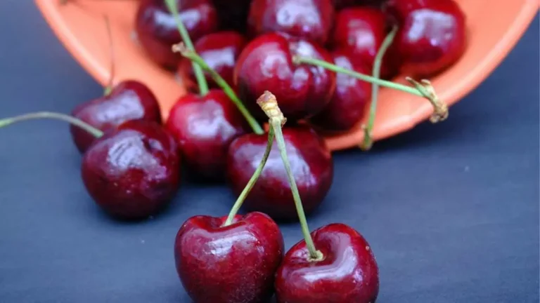 Here’s a great idea for storing cherry stones! They are an unsuspected ingredient for this important preparation!