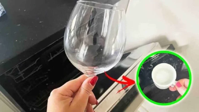 Do your glasses smell bad after being washed in the dishwasher? Here is the infallible remedy to put an end to the problem!