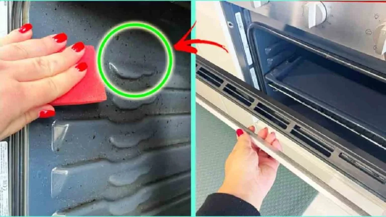 How do you clean the shelves and double glass of the oven?