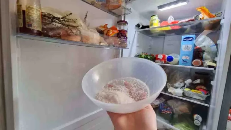 How do you eliminate the over 8,000 bacteria present in the refrigerator?