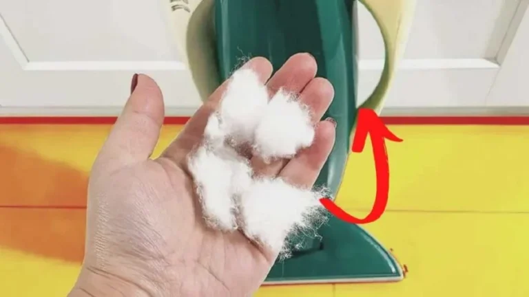 Do you know the trick of using cotton wool in the vacuum cleaner? Your home will be completely scented!