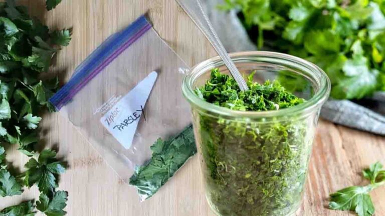 Parsley: 5 ways to keep it fresh!