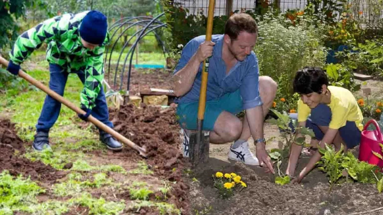 What are the mistakes to avoid when tending the vegetable garden in winter?