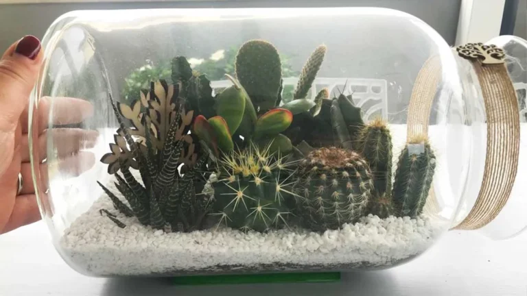 HOW TO MAKE A DIY TERRARIUM WITH WHAT YOU HAVE AT HOME! 
