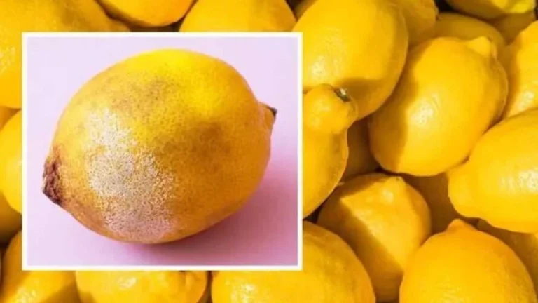 Use this technique to get firm, juicy lemons for 4 weeks! They won’t mold!