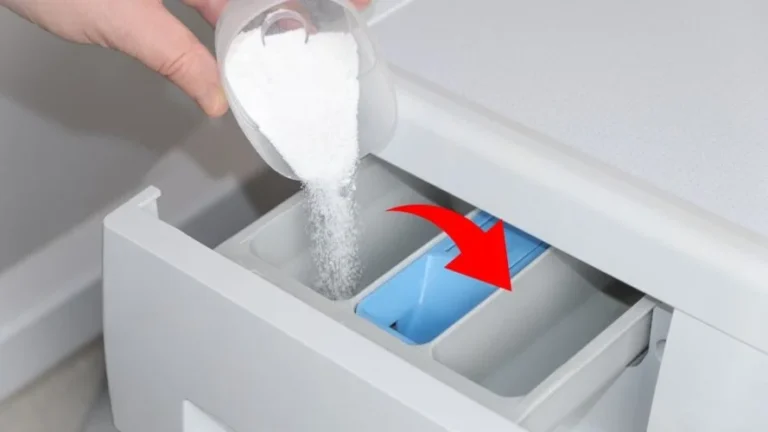 Washing machine tub, what is the third compartment for? Not everyone knows