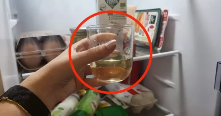Vinegar in the refrigerator is the solution to a common problem: this is what it is