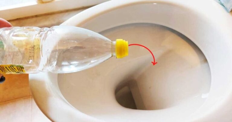 Vinegar in the bathroom solves a very annoying problem: many people do it