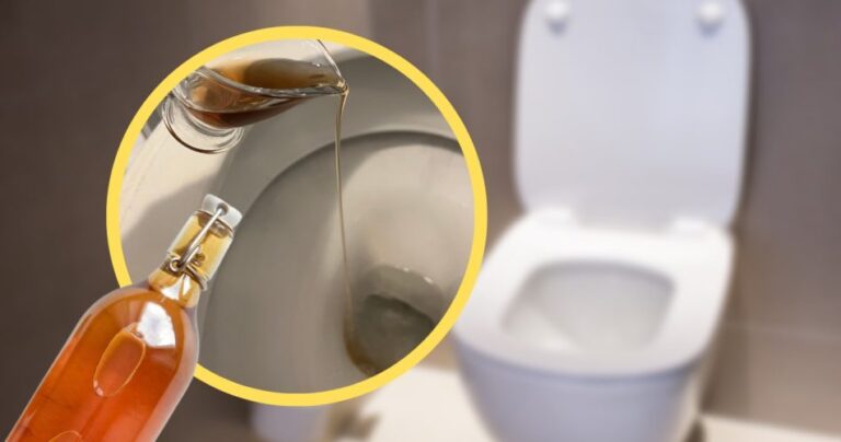 Vinegar in the toilet solves an annoying and very common problem: try it now