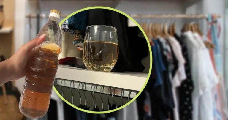 Vinegar, not in the kitchen but in the bedroom: just a small glass in the closet | Your clothes will thank you.