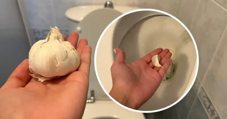 Garlic clove, throw it in the toilet before going to sleep: extraordinary what happens
