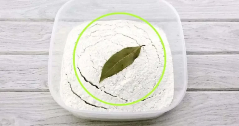 Bay leaf in flour, why use it like this: the benefits
