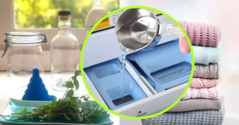 Homemade fabric softener with a lot of mint aroma: how to prepare it