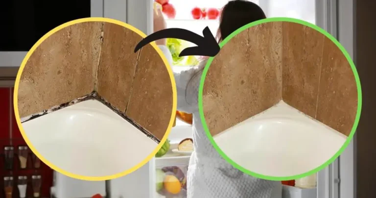 Shower, goodbye mold on the slopes: with this ingredient you will be impeccable again | Like new