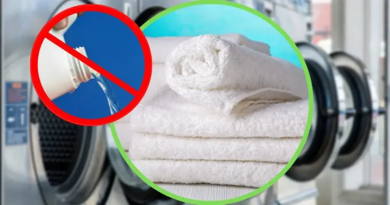 Bleach, forget it: laundries use this ingredient | Very white cloths