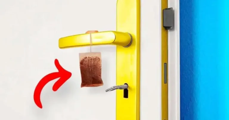Don’t throw away used tea bags, hang them on the door handle: you’ll save a lot of money