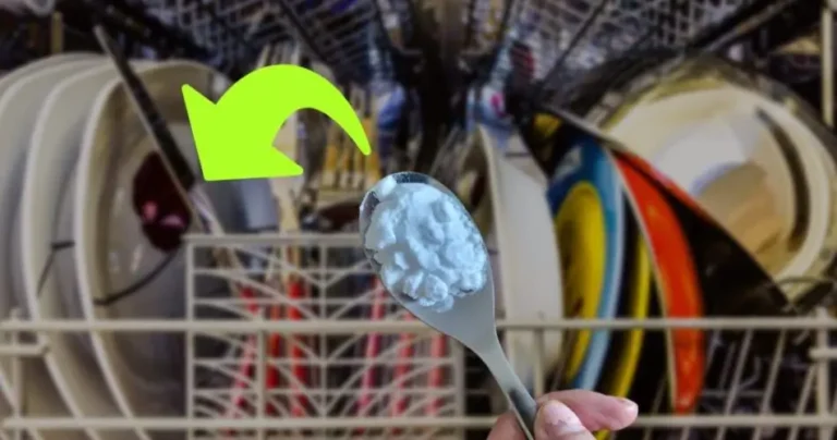 Dishwasher, throw 1 tablespoon before putting it in: you save at the end of the month