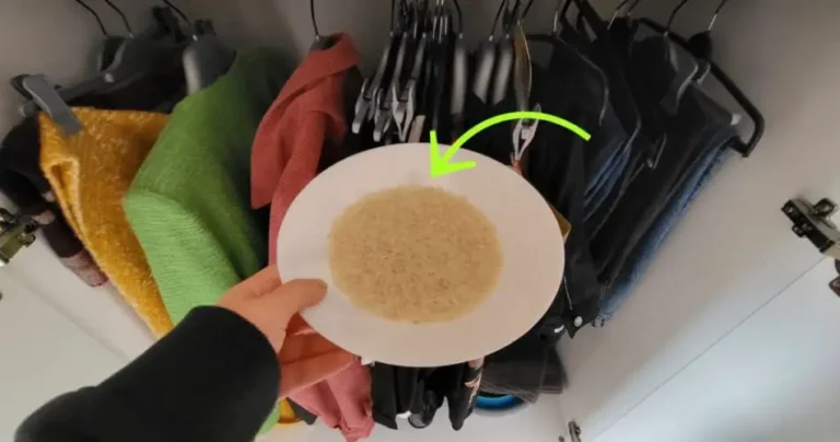 Rice bowl in the closet, solves a problem that affects everyone