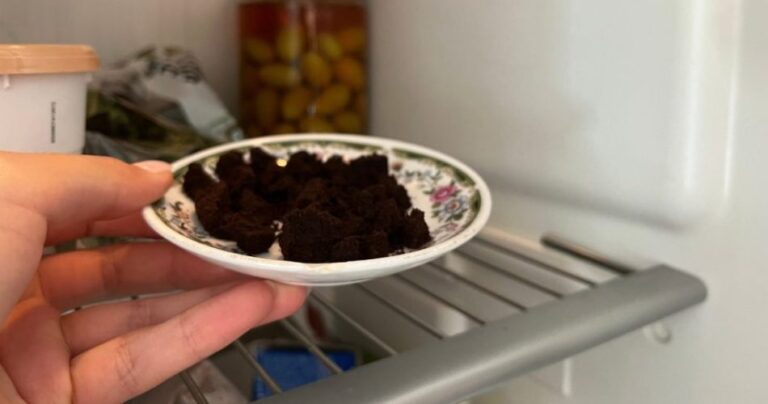 Coffee grounds, don’t throw them away: leave them in the refrigerator overnight | they save you