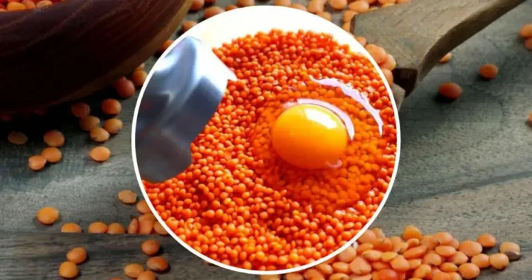 Lentils and eggs, if you use them like this you can’t imagine what comes out: a unique delight