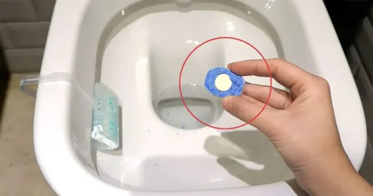 Dishwasher tablet in the toilet, let it sit for a few minutes: what happens