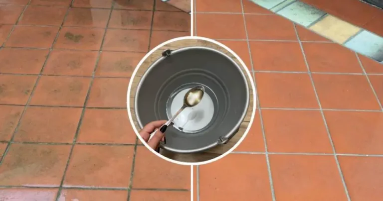 Red stoneware floor on the balcony, what to do to make it shine again