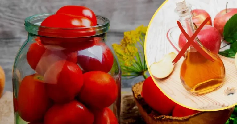 Fresh tomatoes for 2 years, without the need for vinegar: the foolproof method to make them last that long