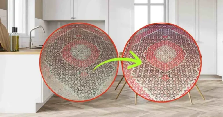 Carpet cleaning, the method to do it directly from home: nothing more than washing clothes