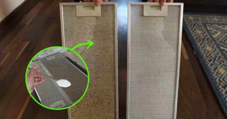 Kitchen hood full of grease, with this remedy it shines again